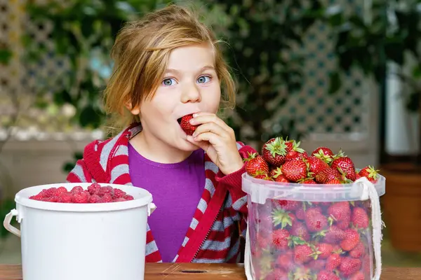 Portrait Happy Little Preschool Girl Eating Healthy Strawberries Raspberries Smiling — 图库照片