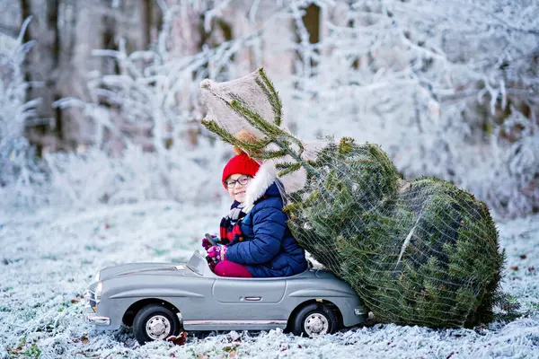 Menina Sorridente Feliz Dirigindo Carro Brinquedo Com Árvore Natal Criança — Fotografia de Stock