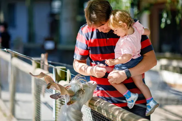 Adorável Bonito Menina Criança Jovem Pai Alimentando Cabras Ovelhas Uma — Fotografia de Stock