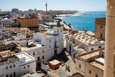 Öğleden sonra eski şehir çatılarının ve Santa Cruz Katedrali 'nin havadan panoramik manzarası Cadiz, Endülüs, İspanya' daki Tavira kulesinden.