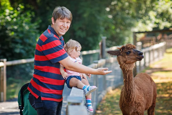 Adorable Niña Linda Padre Joven Alimentando Lama Alpaca Una Granja — Foto de Stock