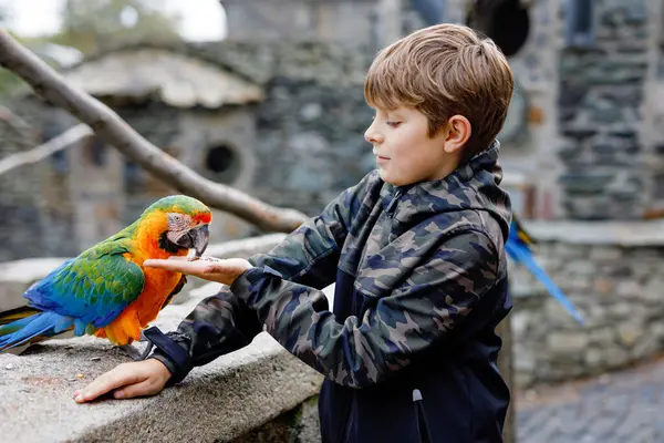 可爱的学童在动物园里喂鹦鹉 在动物园和野生动物公园里 孩子们在玩和喂鸟 信任友好的小鸟 儿童学习野生生物和鹦鹉 — 图库照片