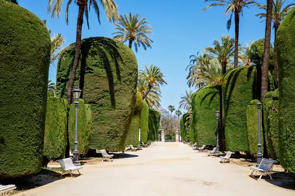 Genoves Park Jardim Botânico Cádiz Andaluzia Espanha — Fotografia de Stock