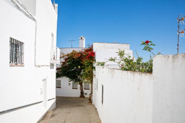 Vejer de la Frontera 'nın güzel sokakları, İspanya, Endülüs bölgesi, Costa de la Luz, Cadiz bölgesi, Beyaz Towns, İber Yarımadası, Eski kasaba. Ruta de los Pueblos Blancos.