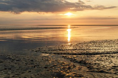 Wattenmeer, Kuzey Denizi, Almanya 'da çamur gelgiti. Nordsee, Watt günbatımında