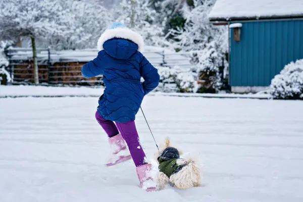Little School Girl Playing Little Maltese Puppy Outdoors Winter Happy — Stock Photo, Image