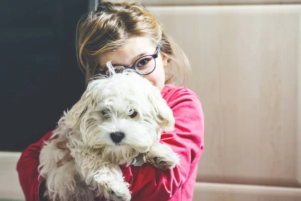 Little Girl Playing Her Pet Dog Maltese Home Happy Child — Stock Photo, Image