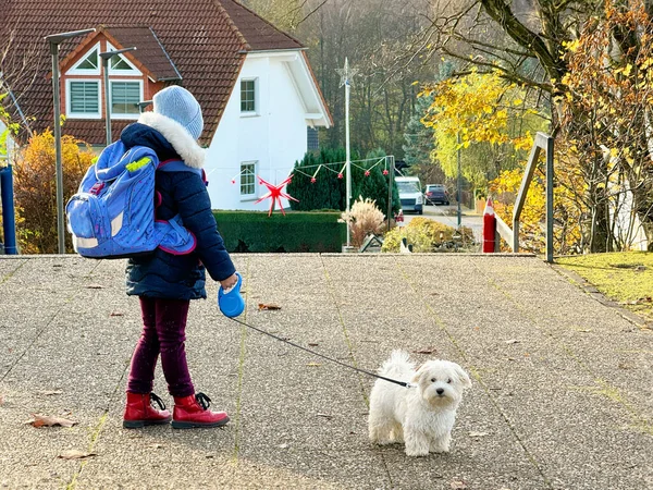 Little School Girl Playing Little Maltese Puppy Outdoors School Happy — Stock Photo, Image