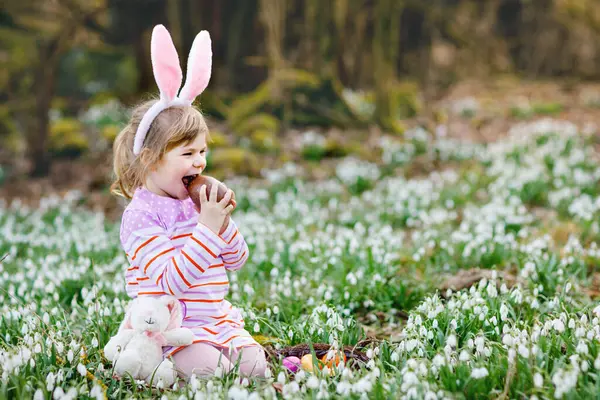 Little girl with Easter bunny ears making egg hunt in spring forest on sunny day, outdoors. Cute happy child with lots of snowdrop flowers, huge chocolate egg and colored eggs