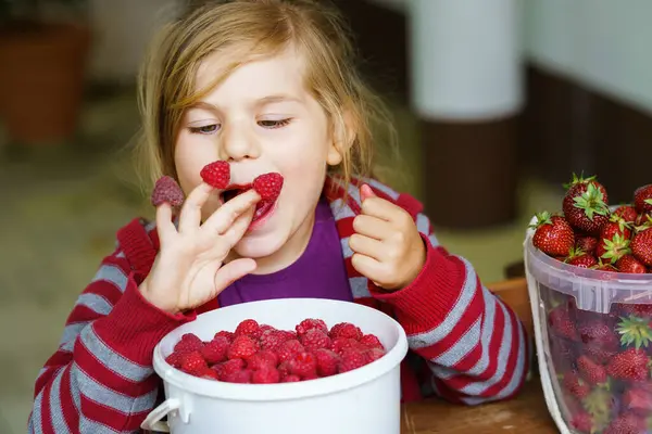 Portrait Happy Little Preschool Girl Eating Healthy Strawberries Raspberries Smiling — Stock Photo, Image