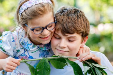Küçük anaokulu kızı ve okul çocuğu tırtılın bitkiye tırmanmasını izliyor. Mutlu çocuklar, erkek kardeşler, erkek ve kız kardeşler evcil bahçede böcekleri izleyip öğreniyorlar.
