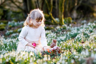 Güneşli bir günde, açık havada bahar ormanlarında Paskalya yumurtası avına çıkan küçük kız. Bir sürü kartopu çiçeği ve renkli yumurtası olan sevimli, mutlu bir çocuk. İlkbahar, Hıristiyan bayramı konsepti