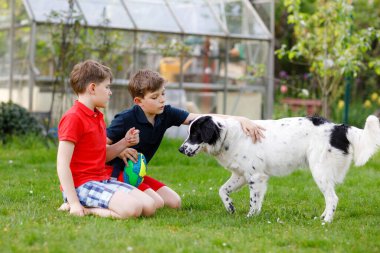 Bahçede aile köpeğiyle oynayan iki çocuk. Gülen çocuklar, sevimli kardeşler köpekle eğleniyorlar, koşuyorlar ve topla oynuyorlar. Dışarıda mutlu bir aile. Hayvanlar ve çocuklar arasındaki arkadaşlık.
