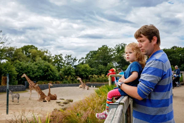 Bonito Adorável Menina Criança Pai Assistindo Alimentando Girafa Zoológico Criança — Fotografia de Stock
