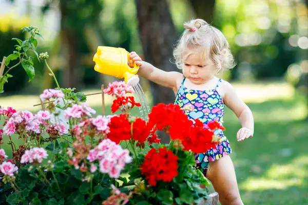 可爱的小女孩在五颜六色的泳装浇水植物和开花花在家庭花园在炎热的夏日 可爱的蹒跚学步的孩子玩水的乐趣和可以 — 图库照片