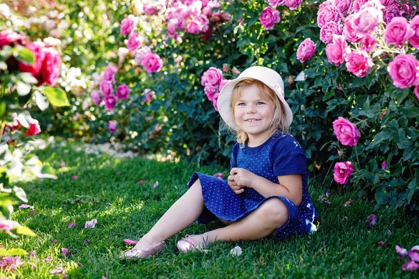 在盛开的玫瑰花园里 一个蹒跚学步的小女孩的画像 夏天阳光明媚的日子 在公园里用玫瑰和鲜花玩乐 可爱可爱可爱的孩子 快乐的微笑宝贝 — 图库照片