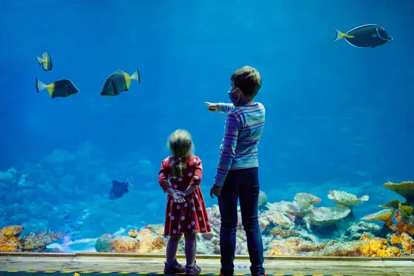 Kid Boy Toddler Girl Visiting Together Zoo Aquarium Two Children — Stock Photo, Image