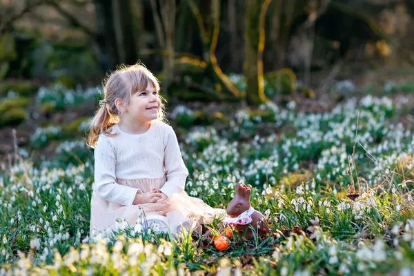 晴れた日に春の森の中でイースターエッグハントを作る女の子 たくさんの雪の花と色の卵を持つかわいい幸せな子供 キリスト教の休日の概念 — ストック写真