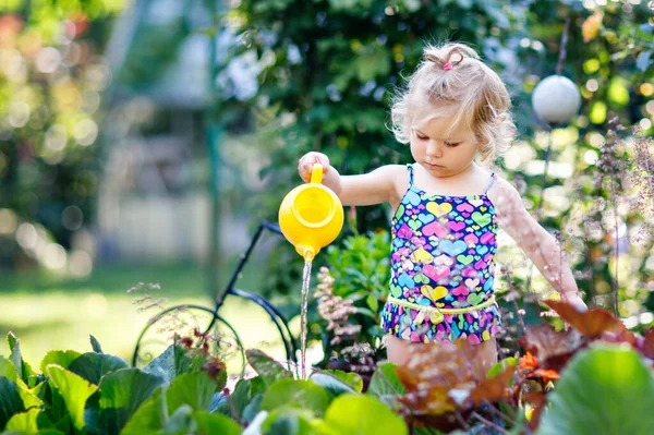 可爱的小女孩在五颜六色的泳装浇水植物和开花花在家庭花园在炎热的夏日 可爱的蹒跚学步的孩子玩水的乐趣和可以 — 图库照片