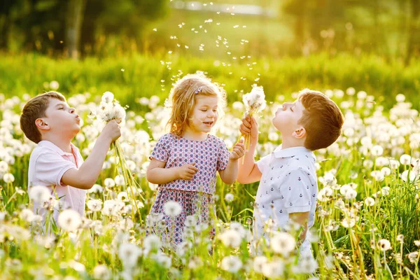 两个男孩和一个小女孩在大自然上吹蒲公英花 快乐健康的幼儿和学童与吹球 有乐趣 三个爱的家庭 在一起 — 图库照片