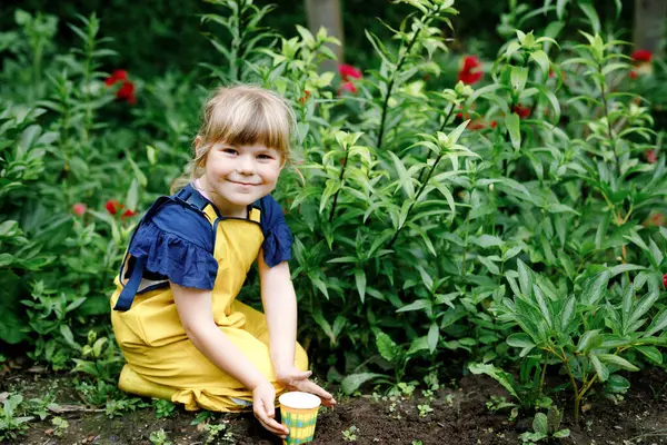 Petite Fille Âge Préscolaire Plantant Des Semis Tournesols Dans Jardin — Photo