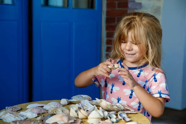 Little preschool girl with variation of different shells and clams at home. Happy child with collected shell from Normandy, France. Children, education, vacation concept