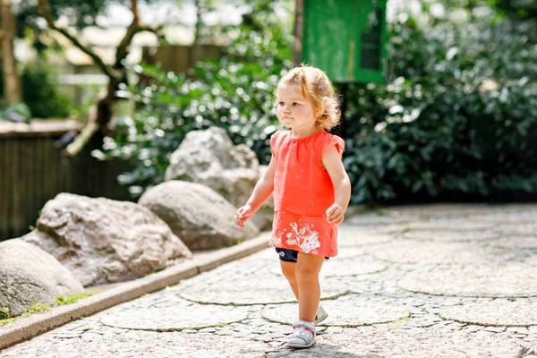 小女孩在动物园里醒来 可爱的幼儿观看动物和鸟类 夏季家庭周末活动 — 图库照片