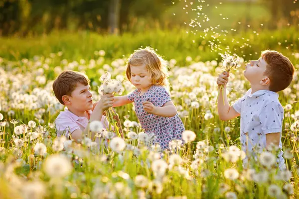 Doi Copii Băieți Fetiță Suflă Păpădie Flori Natură Timpul Verii — Fotografie, imagine de stoc