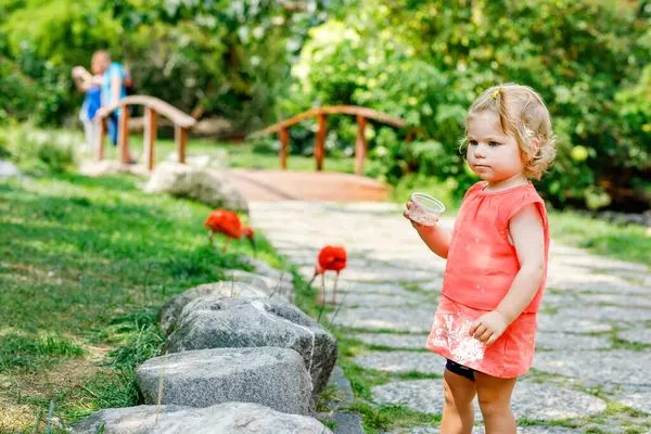 可爱的蹒跚学步的小女孩和爸爸在动物园或动物园里喂红辣椒鸟 快乐而厚重的孩子和人类在公园里给动物喂食 暑期家庭的积极休闲活动 — 图库照片