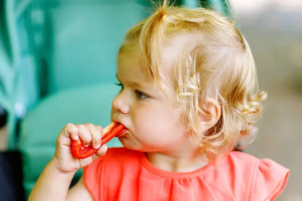 Menina Criança Comendo Pimenta Vermelha Legumes Para Lanche Saudável Sentado — Fotografia de Stock