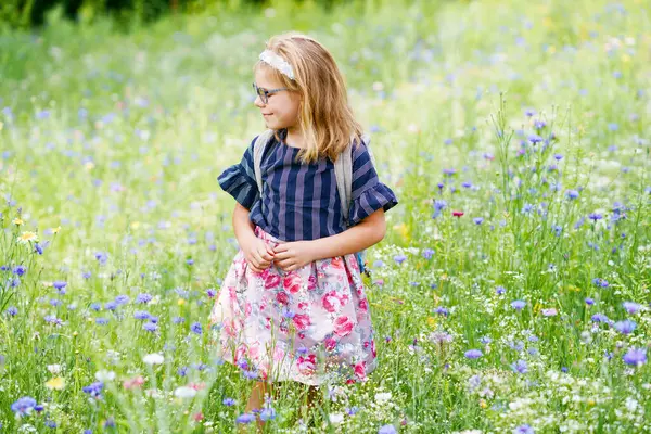 Farklı Çiçeklerle Tarladaki Küçük Okul Öncesi Kız Farklı Renklerde Çiçek Telifsiz Stok Imajlar