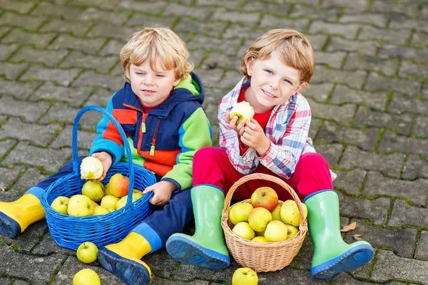 Two Adorable Little Kid Boys Eating Apples Homes Garden Outdoors — Stock Photo, Image