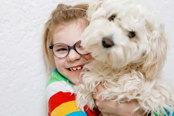 Menina Brincando Com Seu Cão Estimação Maltês Casa Criança Feliz Fotos De Bancos De Imagens Sem Royalties