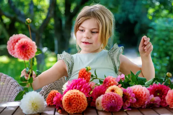 小さな幼稚園の少女がダリアの花束を作る 幸せな子供とカラフルな庭の夏の花のクローズアップが配置されています 虹色の花のクローズアップ ストック写真