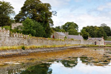 Kuzey İrlanda'daki Castle Ward'Un eski ortaçağ kalıntıları. Serie Game of Thrones'un çekim yeri, Kıştepesi.