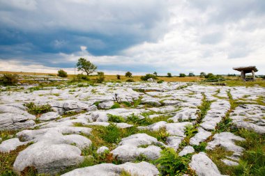 Burren National Park in Ireland, county Clare. Rough Irish nature. Beautiful landscape