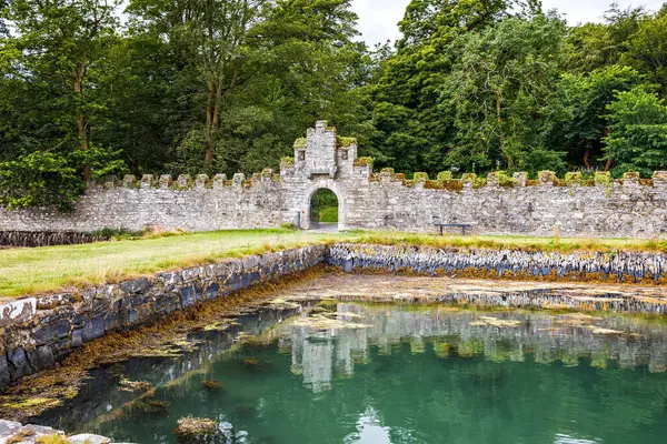 Antiguas Ruinas Medievales Castle Ward Irlanda Del Norte Lugar Rodaje —  Fotos de Stock