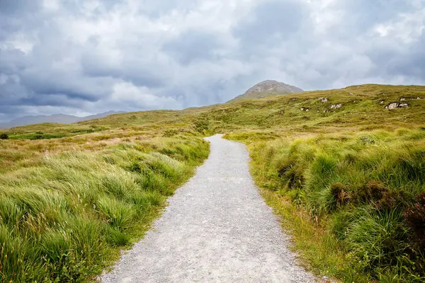 İrlanda manzarası. Büyülü İrlanda tepeleri. Bulutlu bir günde koyunların ve ineklerin olduğu yeşil ada. İrlanda 'daki Connemara Ulusal Parkı