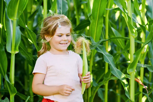 Szczęśliwa Dziewczynka Bawiąca Się Polu Labiryntu Kukurydzy Farmie Ekologicznej Świeżym — Zdjęcie stockowe