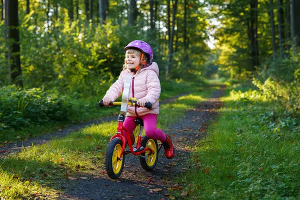 Bicicleta Echilibru Pentru Copii Copii Bicicletă Pădure Însorită Fetiță Care — Fotografie, imagine de stoc