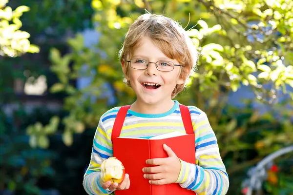 第一天上学或上幼儿园的时候 就带着眼镜 苹果和背包 快乐的学龄前小男孩 在温暖的阳光灿烂的日子里 孩子们在户外健康有趣 回到学校的理念 笑的男孩 图库图片