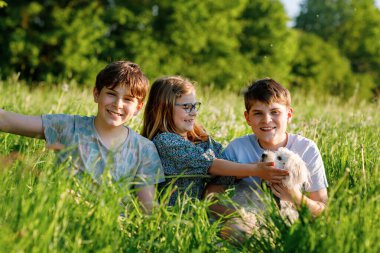İki çocuk erkek ve küçük kız doğada Malta 'lı köpekle oynuyorlar, yeşil çayır. Üç çocuk, mutlu kardeşler köpekle eğleniyor. Dışarıda mutlu bir aile. Hayvanlar ve çocuklar arasındaki arkadaşlık..