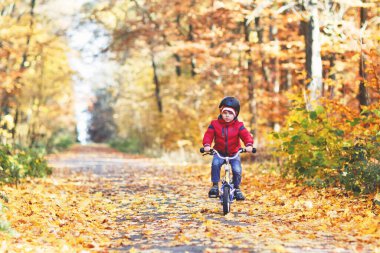 Sonbahar Ormanı Parkı 'nda renkli, sıcak giysiler içinde bisiklet süren küçük çocuk. Doğada güneşli bir sonbahar gününde bisiklet süren aktif bir çocuk. Güvenlik, spor, çocuk konseptiyle eğlence. Çocuklar için gündelik moda.