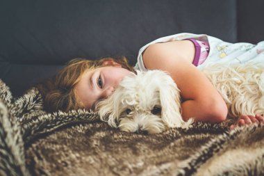 Evcil köpeği Maltese ile evde oynayan küçük bir kız. Mutlu çocuk ve şirin köpek yavrusu. Aşk, dostluk, aile hayvanı.