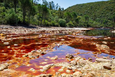 Rio Tinto nehri ve demir madenleri. Kırmızı renkli nehir bakır, yerde demir. Mars 'ta yaşam araştırmalarında kullanılan su..