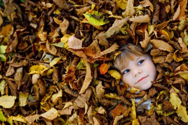 Sonbahar Parkı 'nda Oak ve Maple Leaf' le Sonbahar Günü Küçük Yürüyen Kız 'ın Sonbahar Portresi. Bir sürü Yaprakta Yatan Çocuk. Sonbaharda Aile Eğlencesi. Gülümseyen çocuk. Sağlıklı Bebek Kız