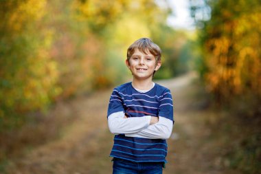Ormandaki küçük havalı çocuğun portresi. Mutlu sağlıklı çocuk sıcak güneşli bir sonbaharda eğleniyor. Aile, doğa, aşk ve aktif eğlence.
