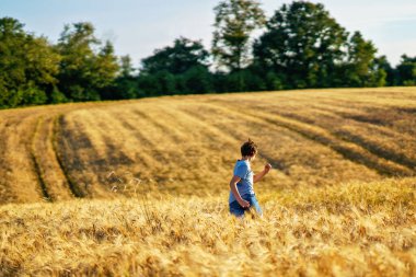 Genç çocuk yaz günü sarı buğday tarlasında eğleniyor. Aile için açık hava eğlencesi. Mutlu çocuk, özgürlük ve tatil kavramı
