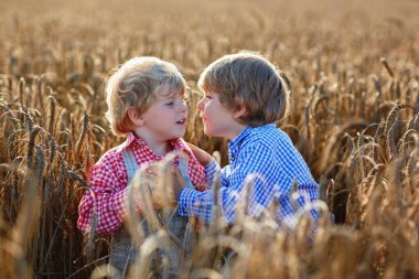 Kareli gömlekli iki çocuk altın buğday tarlasında oynuyor. Mavili çocuk nazikçe diğerlerinin omzuna dokunur, sıcaklığı ve dostluğu yakalar..