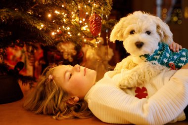 Güzel küçük kız, Noel ağacının yanında en sevdiği köpeğiyle oynuyor. Çocuklar ve hayvanlar konsepti. Kız evcil hayvanla ilgileniyor. Hediye olarak evcil hayvanı olan mutlu çocuk